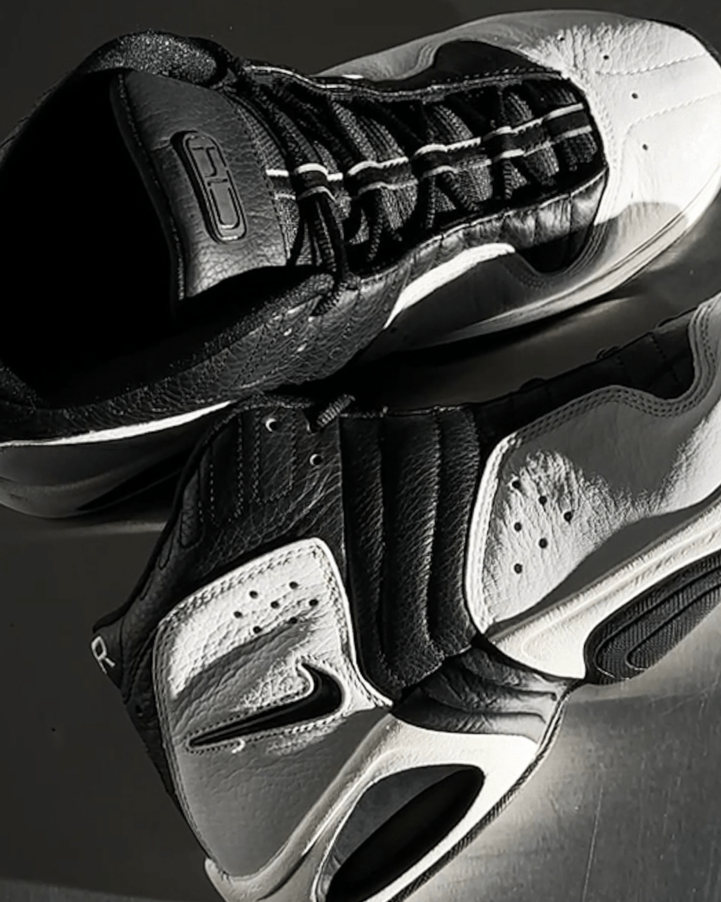 Closer Look at Cynthia Cooper's Nike Air C14