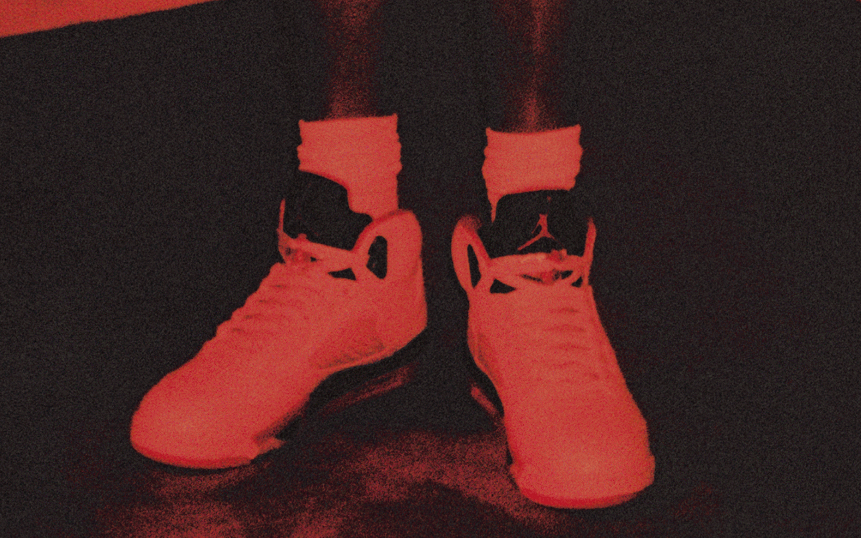 マニア向けAIR JORDAN FLIGHT CLUB シューズケース マニア向けAIR JORDAN FLIGHT CLUB シューズケース