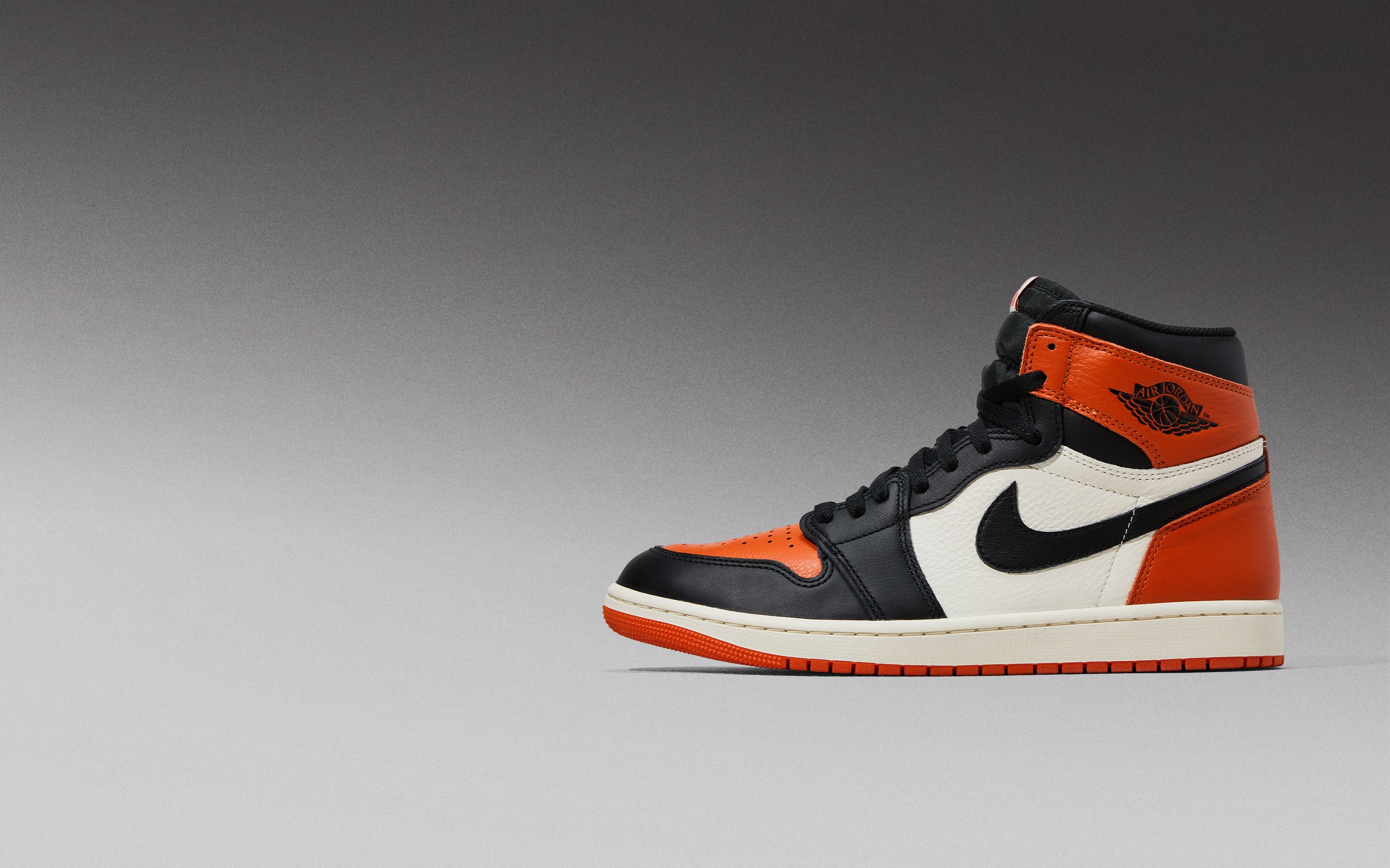 マニア向けAIR JORDAN FLIGHT CLUB シューズケース マニア向けAIR JORDAN FLIGHT CLUB シューズケース マニア向け